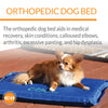 An image demonstrating the orthopedic functions of the K & H Coolin Comfort Bed, emphasizing pressure relief and joint support for pets.
