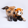 Dog resting peacefully with Archie Red Panda toy, demonstrating the toy’s comforting size and cuddle-worthy design perfect for relaxation and bonding time.