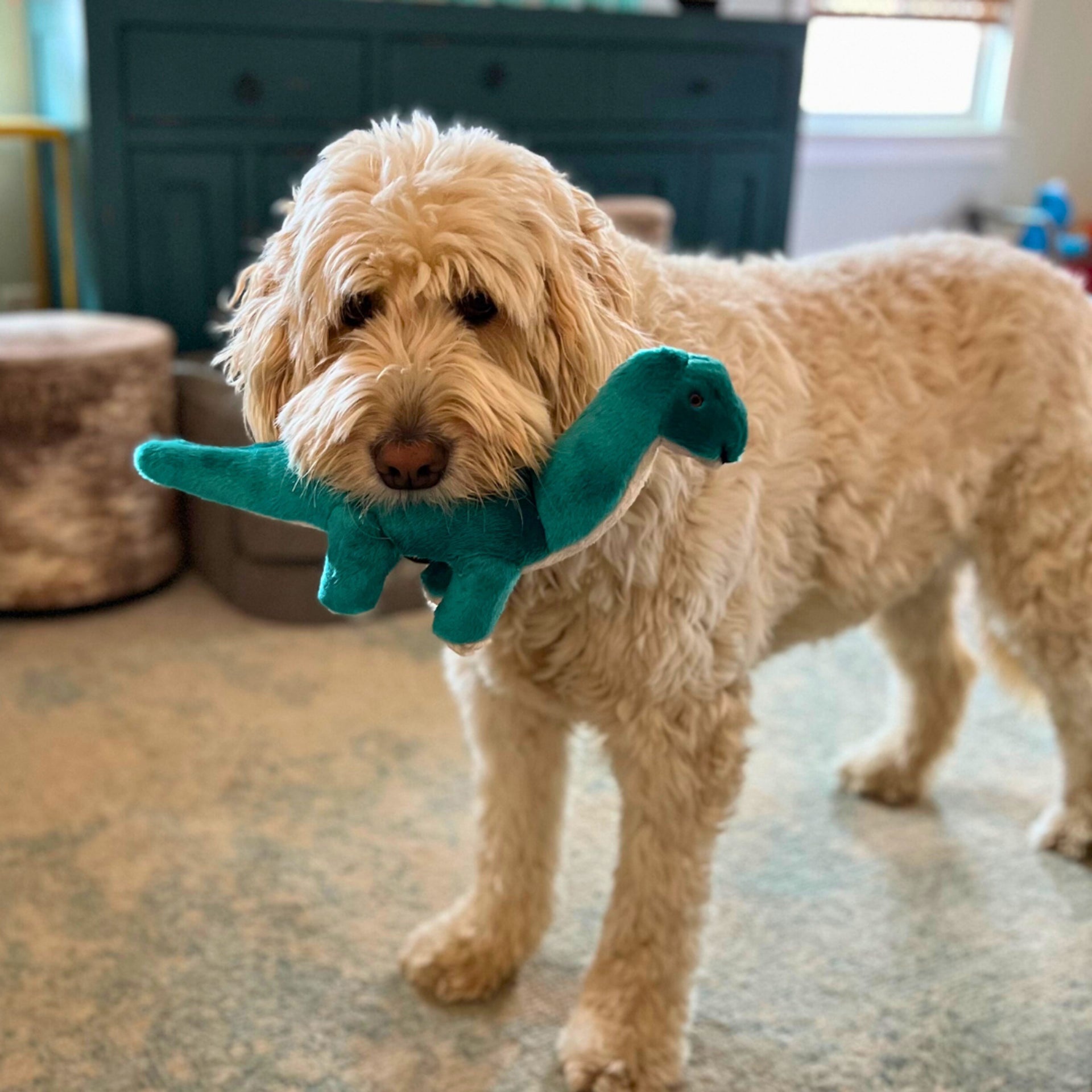 Fluff & Tuff - Ross the Brachiosaurus