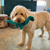 Fluff & Tuff - Ross the Brachiosaurus