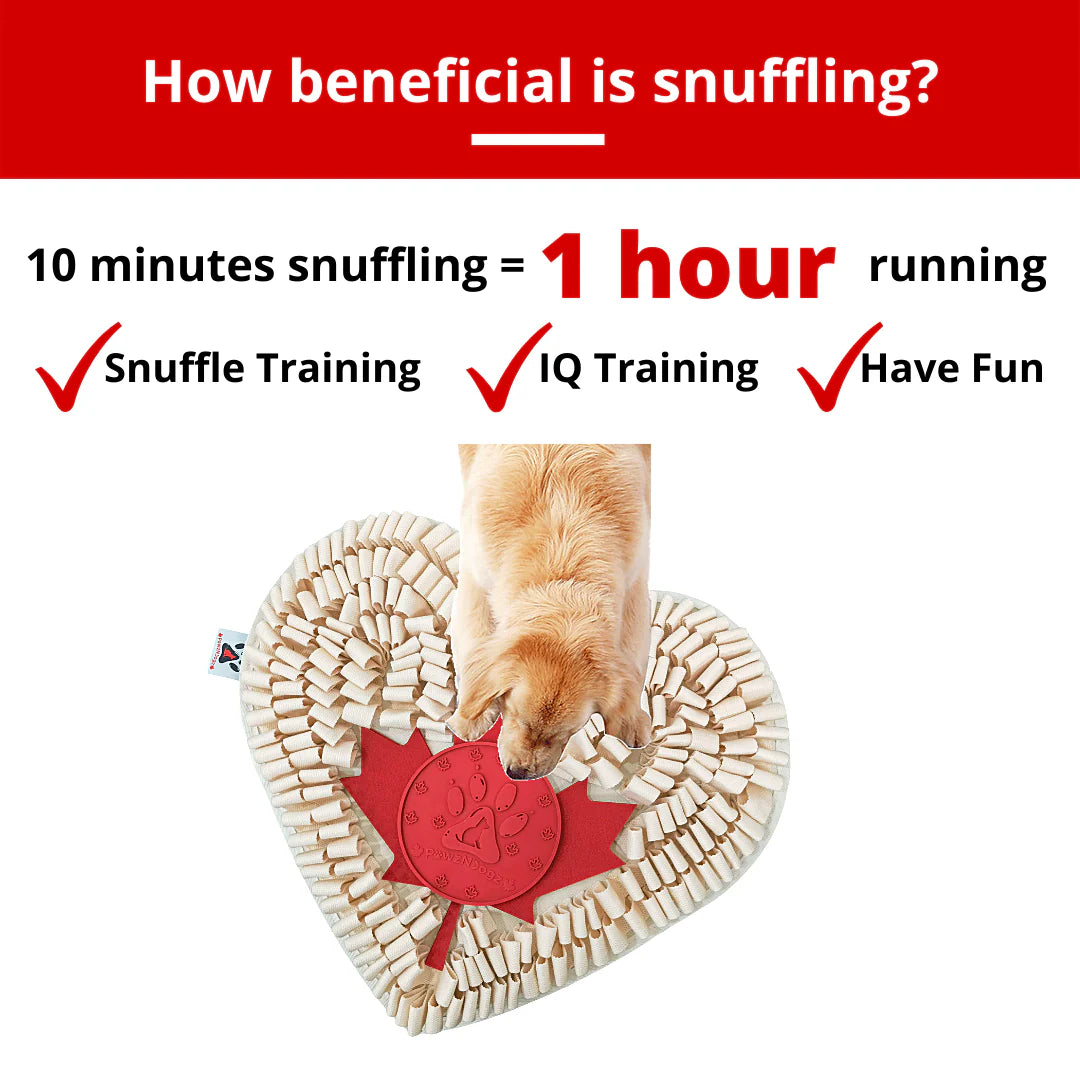 The snuffle mat promotes natural foraging, slows down eating, prevents boredom, and provides an engaging enrichment activity for dogs of all sizes.