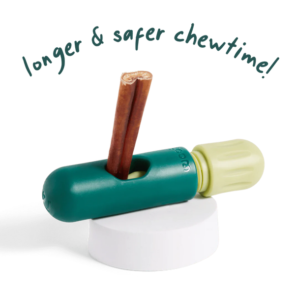 Close-up of The BullySafe securely holding a bully stick, preventing choking and extending chew time.