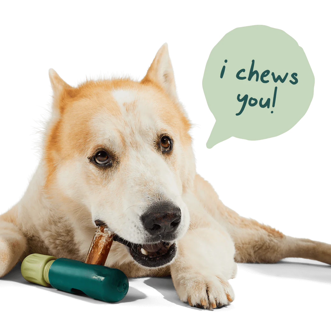 Woof - The BullySafe