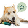 Woof - The BullySafe