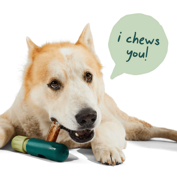 Woof - The BullySafe
