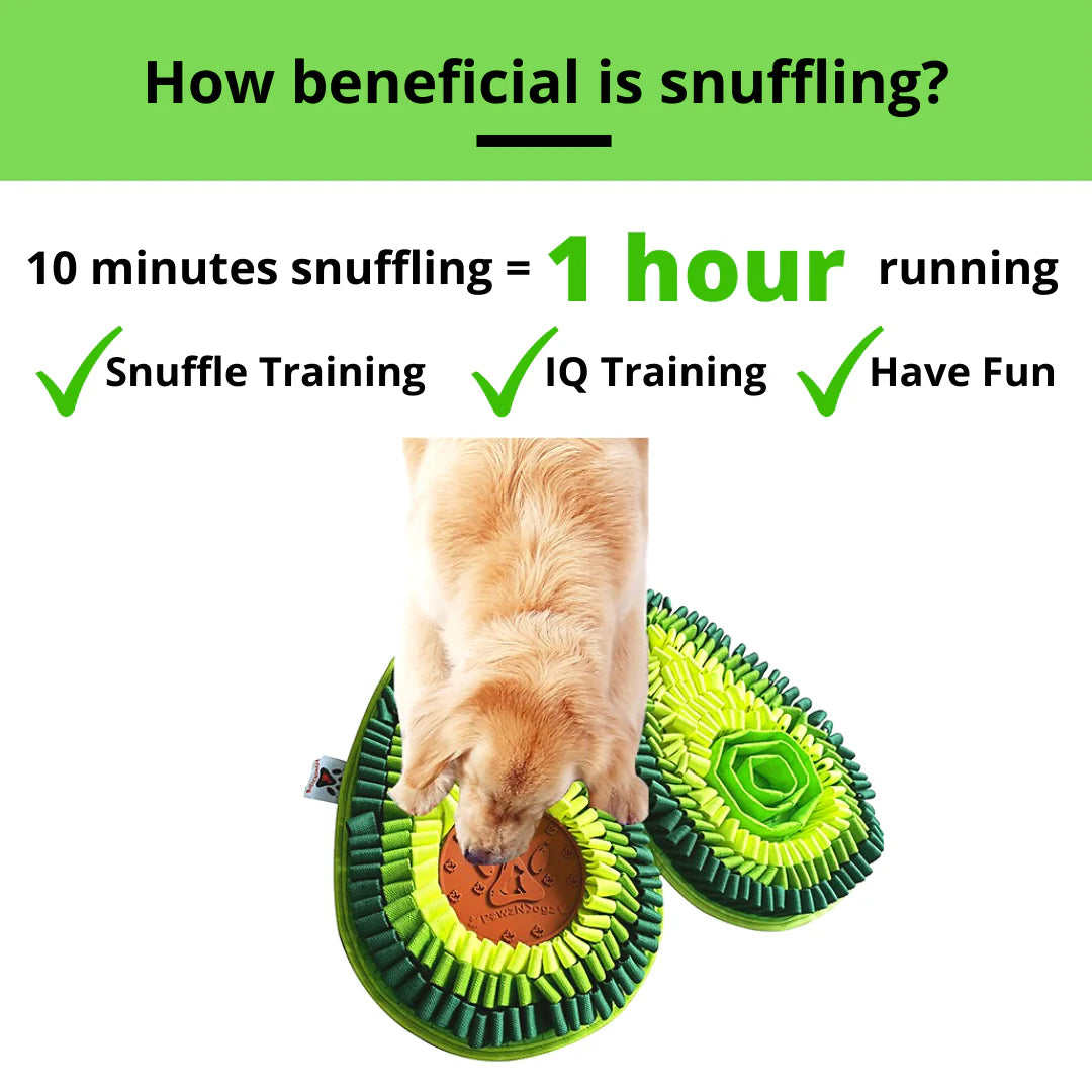 This snuffle mat encourages natural foraging instincts, helps reduce anxiety, and supports healthy digestion by slowing down mealtime.