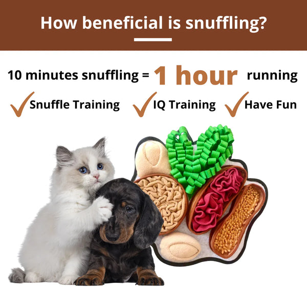 Pawz N Dogz Snuffle Mat - Chonky Peanuts