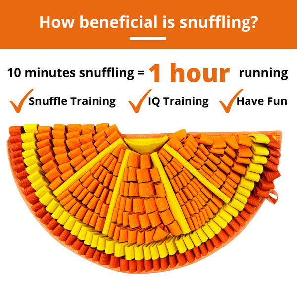 "Illustration showing how 10 minutes of snuffling on the Pawz N Dogz Snuffle Mat equals 1 hour of physical exercise for a dog."