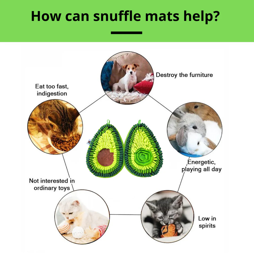 Ideal for reducing destructive behavior, engaging senior dogs, and providing mental enrichment for high-energy pups.