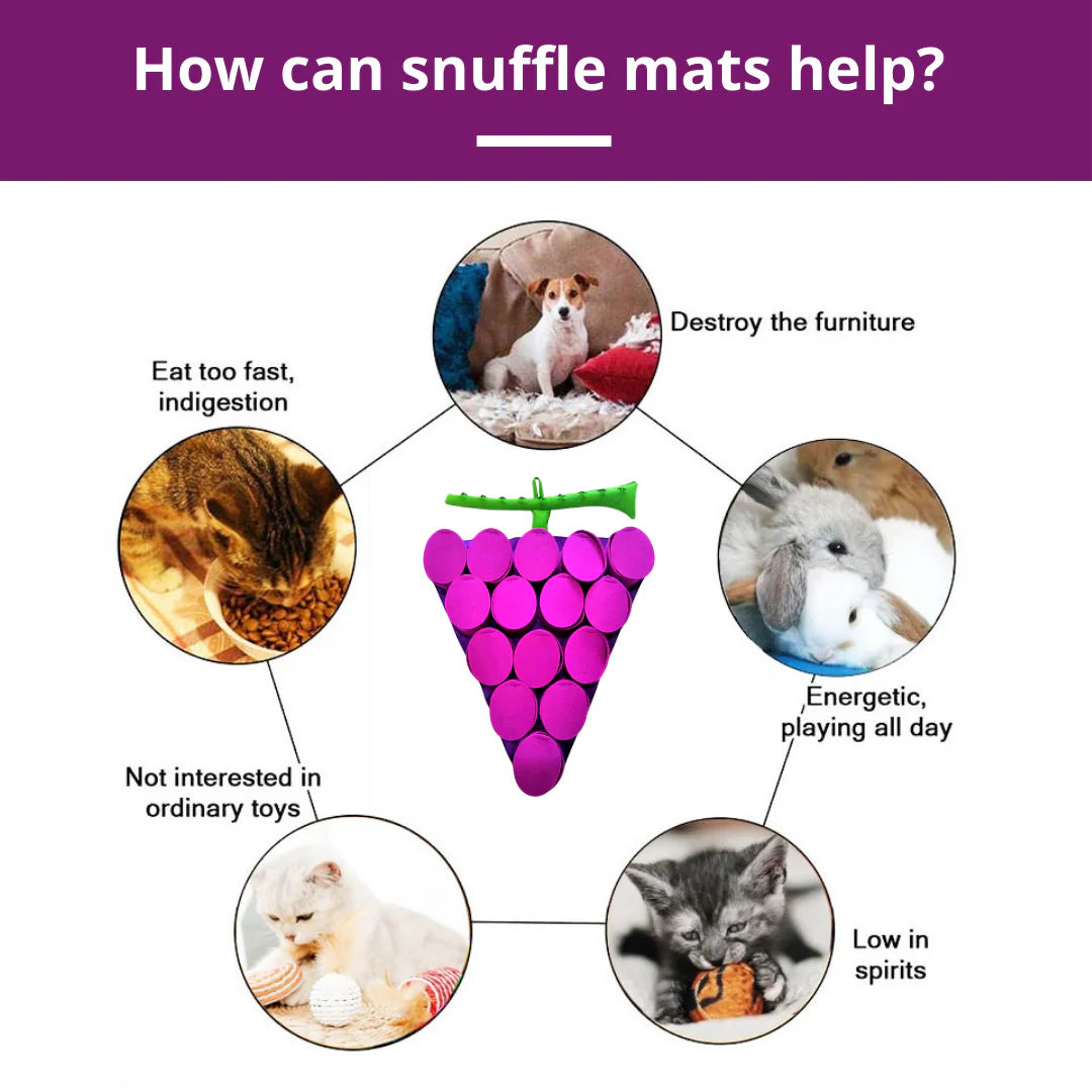Snuffle mat helps reduce boredom, slow eating, and enhance mental enrichment for dogs of all breeds.