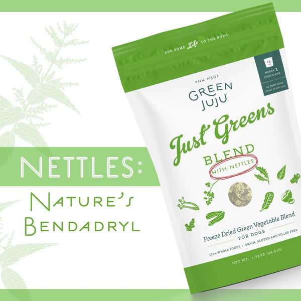 Green Juju Freeze-Dried Just Greens Blend with Nettles bag, highlighting nettles as a natural Benadryl for dogs.