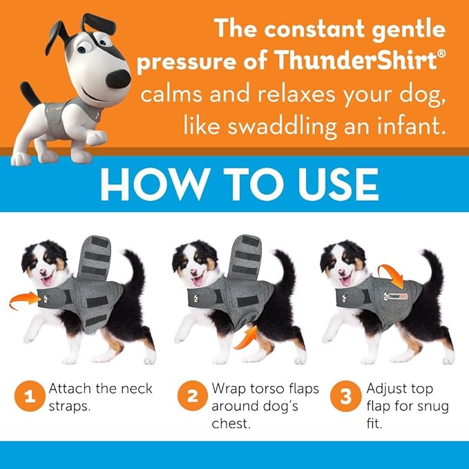 Instructional image showing step-by-step how to put the ThunderShirt on a dog, demonstrating how easy it is to use this vet-recommended calming aid.