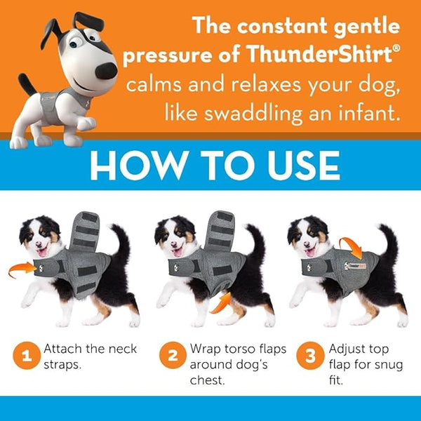 Instructional image showing step-by-step how to put the ThunderShirt on a dog, demonstrating how easy it is to use this vet-recommended calming aid.
