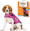Image of a dog wearing the vibrant Fuchsia ThunderShirt with product packaging shown, demonstrating stylish anxiety relief using gentle, consistent pressure.