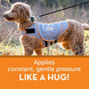 Image of a dog wearing the ThunderShirt with text explaining the gentle pressure works like a comforting hug, providing natural anxiety support.