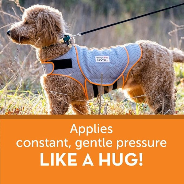 Image of a dog wearing the ThunderShirt with text explaining the gentle pressure works like a comforting hug, providing natural anxiety support.
