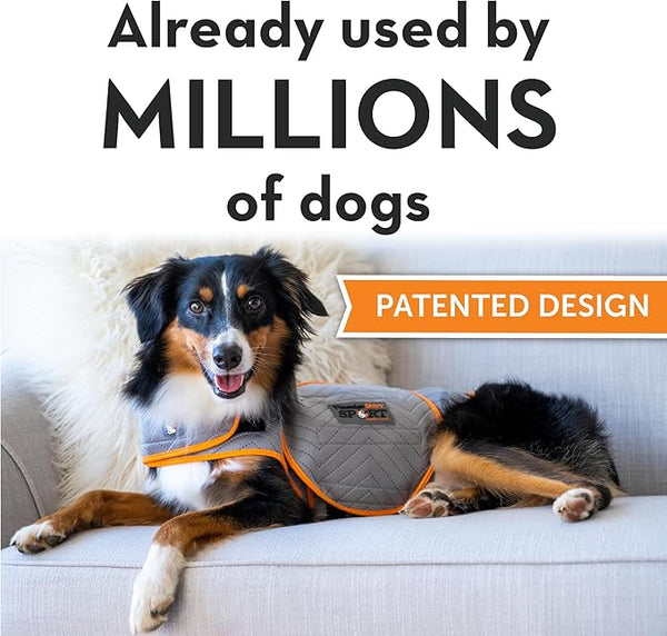 Image of a calm dog laying comfortably on a couch wearing the ThunderShirt, with text overlay stating "they've helped millions of dogs" to emphasize trusted, effective anxiety relief.