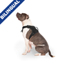 Canada Pooch - Complete Control Harness - Black