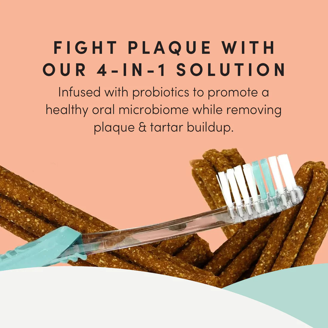 An illustration detailing the benefits of the flower ridge design, oyster shells for plaque removal, and probiotics for overall health.