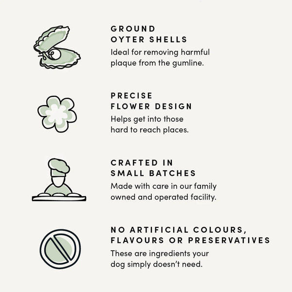 A graphic showcasing the bacon flavour, safe and flexible texture, improved dental cleaning shape, and natural ingredients.