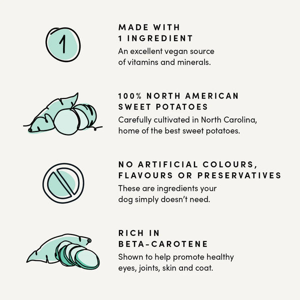 An image showcasing the key benefits of Crumps' Sweet Potato Dog Treats, including their rich vitamin content and allergy-friendly nature.