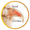Proper nail trimming is essential for your dog’s health and comfort. This image highlights the correct trimming technique, showing the quick inside the nail and the safe trimming zone. The Safari Professional Dog Nail Trimmers include a built-in safety stop, helping pet parents trim with confidence and avoid cutting too deep. Regular nail care reduces pain, posture issues, and injuries, keeping your dog happy and active.