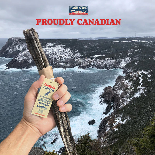 Close-up image of hand-rolled cod skin dog treats with the ocean in the background, highlighting their crispy texture, natural air-dried preparation, and Omega-3-rich content that supports healthy skin, coat, and joints for dogs.