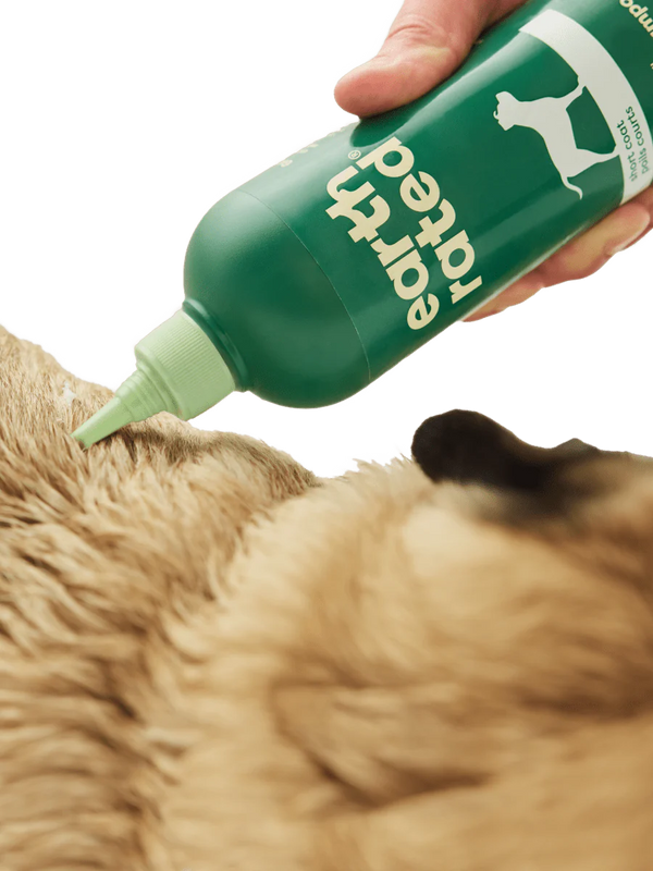 An image showing Earth Rated Short Coat 3-in-1 Dog Shampoo being applied to a short-coated dog, highlighting the deep clean nozzle for even application.