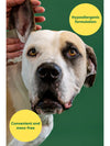 Earth Rated Dog Ear Wipes have a hypoallergenic formulation that's convenient and mess free. Image showing a dog getting the wipe used.