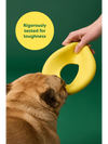 Earth Rated Flyer Dog toy is rigorously tested for toughness, image of French bulldog playing with Earth Rated Flyer Dog Toy