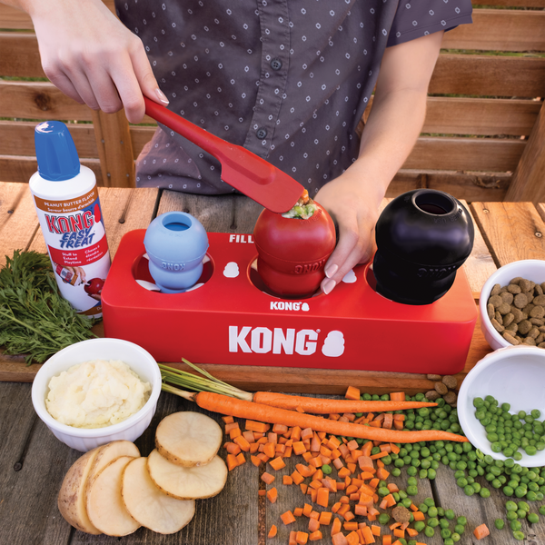 "KONG Fill and Freeze Tray being used to fill and freeze multiple KONG toys for dog enrichment."