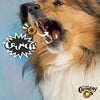 Fromm Crunchy O's Dog Treats Bacon Blasters being enjoyed by a dog crunching