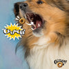 A dog enjoying the crunchy texture of Fromm Crunchy O's Blueberry Blast treat.