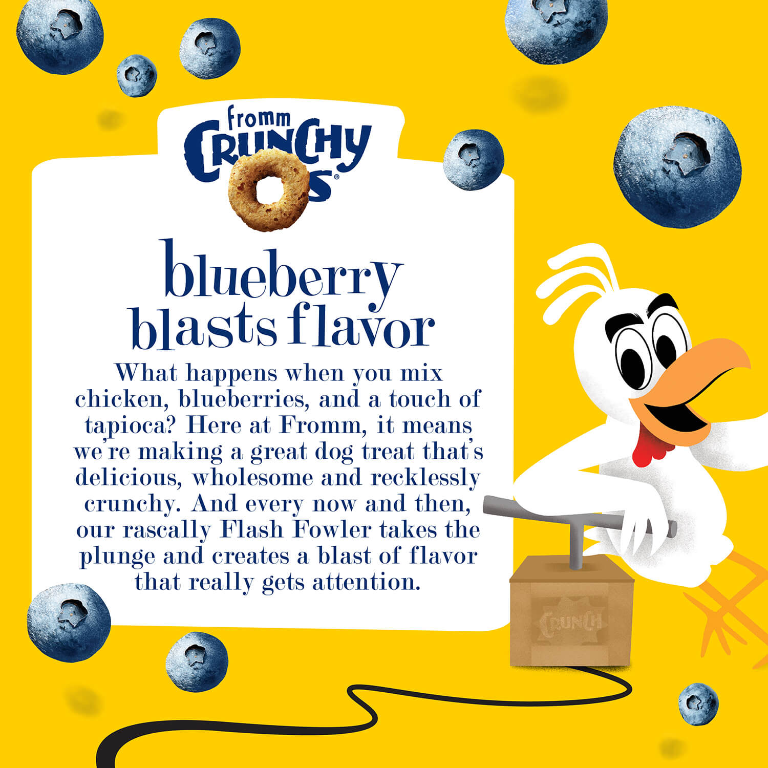 Fromm Crunchy O's Blueberry Blast Dog Treat are a combination of chicken, Blueberries and tapioca making a great dog treat that's delicious, wholesome and recklessly crunchy.