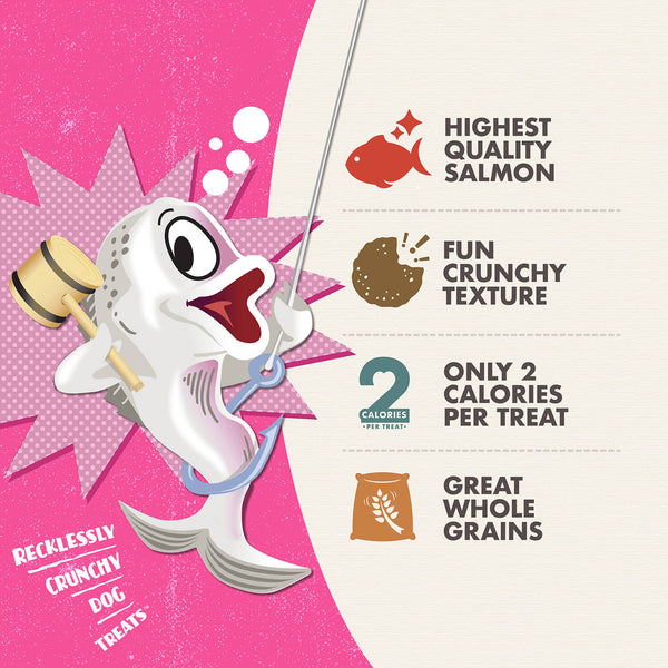 Fromm Crunchy O's Slammon' Smoked Salmon highlighting benefits like bold salmon flavour and low calories.