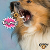 Dog enjoying the crunchy texture of Fromm Crunchy O's Slammon' Smoked Salmon.