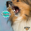 Fromm Crunchy Os Dog Treats Banana Kablammas - Dog enjoying the crunchy texture of Fromm Crunchy O's Banana Kablammas.
