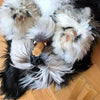 Happy dog chewing Himalayan Dog Chew Churro Stix in Cheese flavour, supporting healthy gums and reducing tartar.