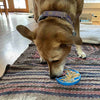 Soda Pup Lick Mat Ecoin Air