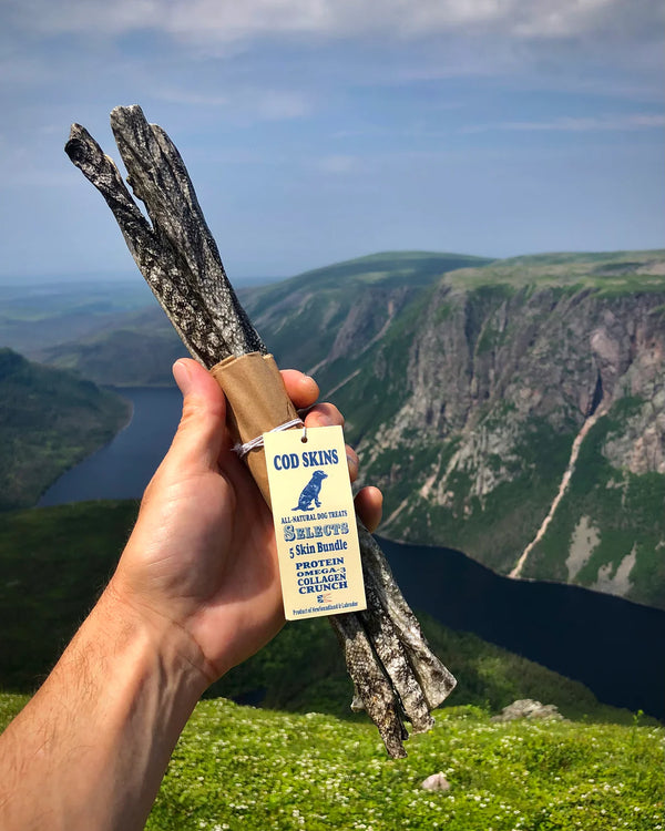 A person holding a bundle of full-length cod skin dog treats sourced from Newfoundland, showing their length and rustic, hand-rolled texture with the natural beauty of a river and valley backdrop, symbolizing sustainable Canadian sourcing and eco-conscious production.