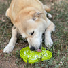 Soda Pup Lick Mat - Bull Frog