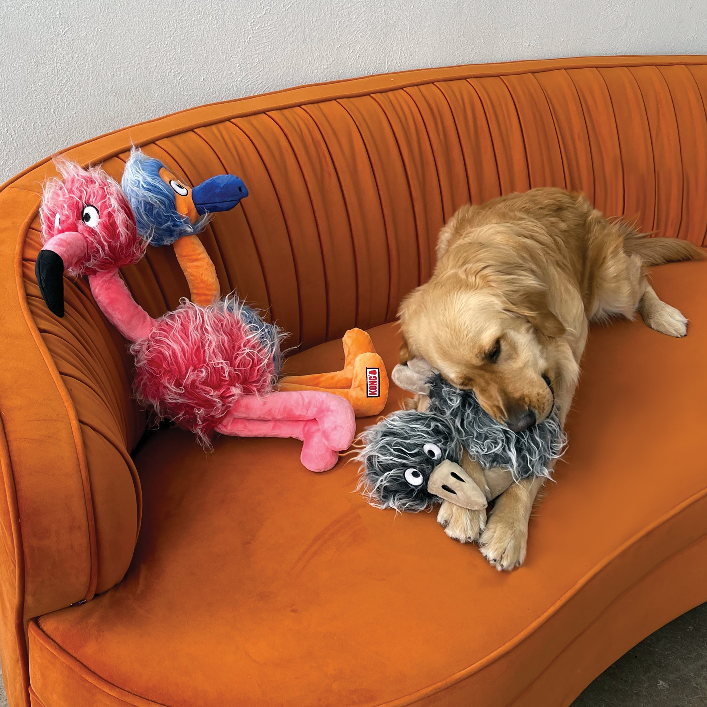 Dog playing with the KONG Comfort Jumbo Bird, shaking and thrashing the large, plush toy.