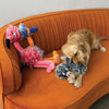Dog playing with the KONG Comfort Jumbo Bird, shaking and thrashing the large, plush toy.