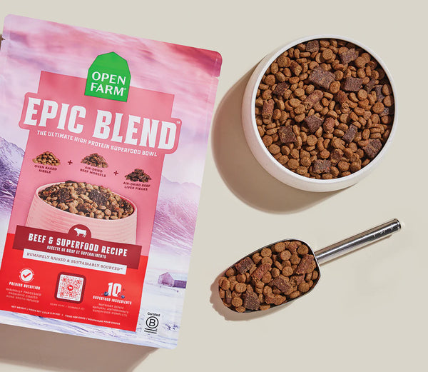 Image showing beef kibble and morsels in a bowl next to a scoop and product bag, highlighting portion control, convenient feeding, and quality visible ingredients.