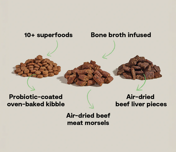 Image showcasing wholesome key ingredients like real beef, beef liver, kale, pumpkin, and blueberries in Open Farm Epic Blend to support immunity, digestion, and energy.