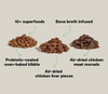 Image displaying key ingredients like oven-baked chicken, chicken liver, pumpkin, kale, and blueberries, all rich in protein and antioxidants to support digestion and immunity.