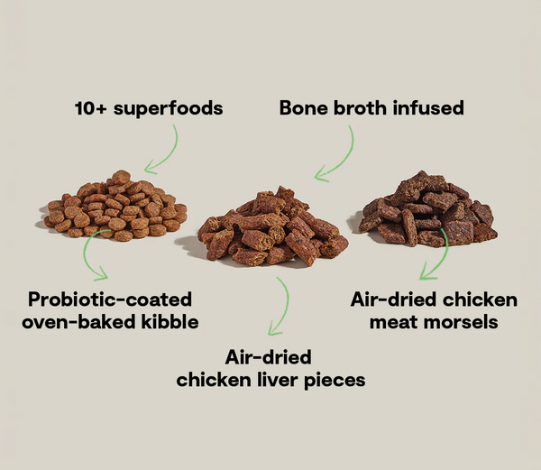 Image displaying key ingredients like oven-baked chicken, chicken liver, pumpkin, kale, and blueberries, all rich in protein and antioxidants to support digestion and immunity.