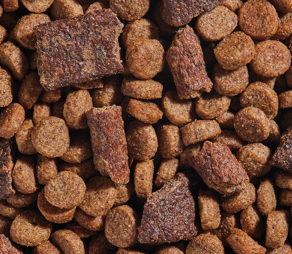 Image showing a detailed close-up of the kibble and air-dried chicken morsels, emphasizing texture, high protein content, and visible superfood ingredients for optimal health benefits.