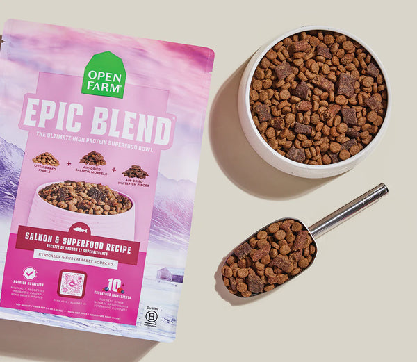 Image displaying the kibble and air-dried morsels in a dog bowl with a scoop and product bag beside, highlighting feeding convenience and visibly nutrient-rich formulation.