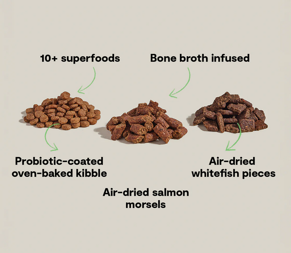 Image showcasing the key ingredients of Open Farm Epic Blend, including wild-caught salmon, air-dried whitefish, pumpkin, blueberries, and probiotics to support immunity and digestion.